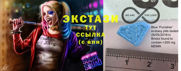 крисы Переславль-Залесский