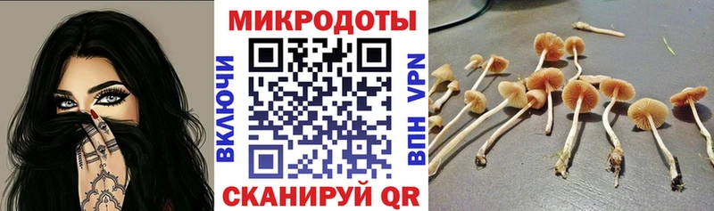 Псилоцибиновые грибы мицелий  Великий Устюг 