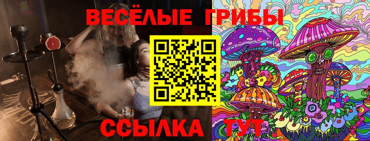 Галлюциногенные грибы MAGIC MUSHROOMS Великий Устюг