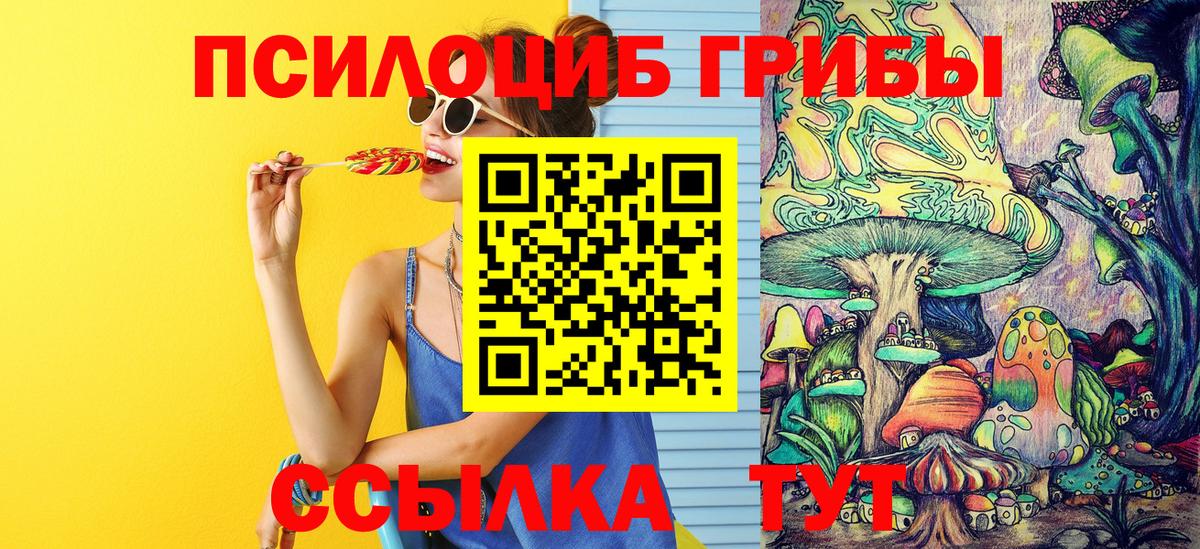 Великий Устюг  где можно купить   Галлюциногенные грибы MAGIC MUSHROOMS  Вход с VPN  Псилоцибиновые грибы Psilocybine cubensis 