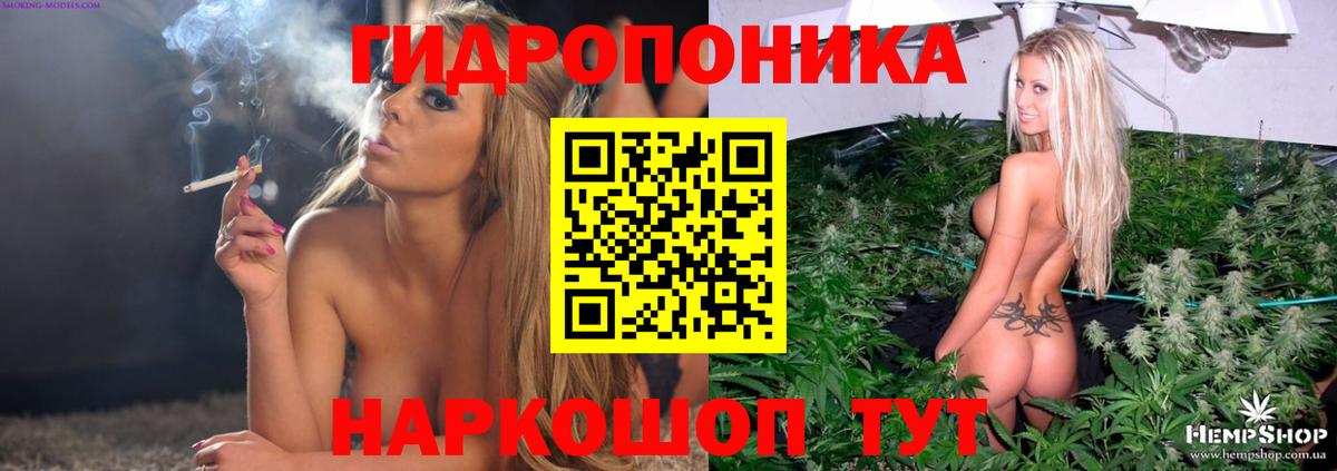 Каннабис AK-47 Великий Устюг